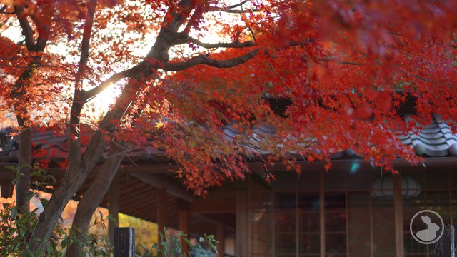 タイトルなし