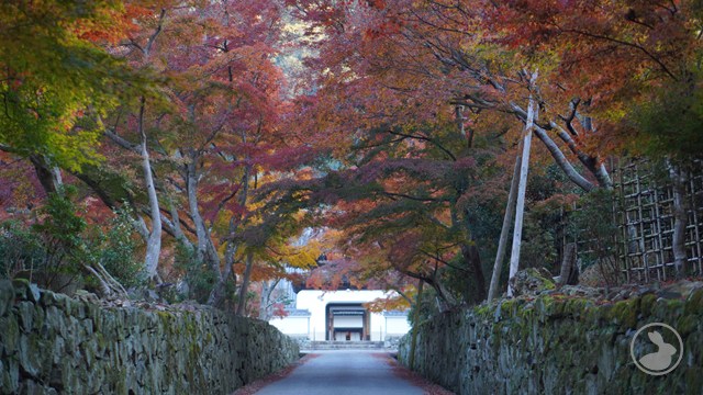 タイトルなし