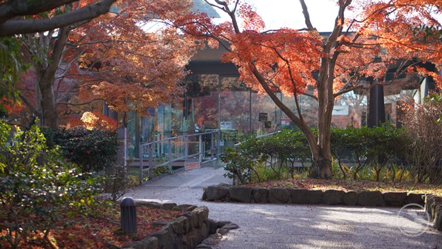 タイトルなし