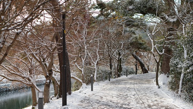 タイトルなし
