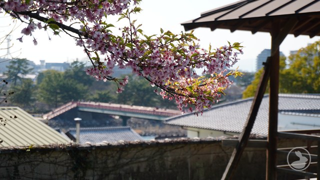 タイトルなし