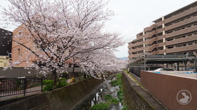 タイトルなし