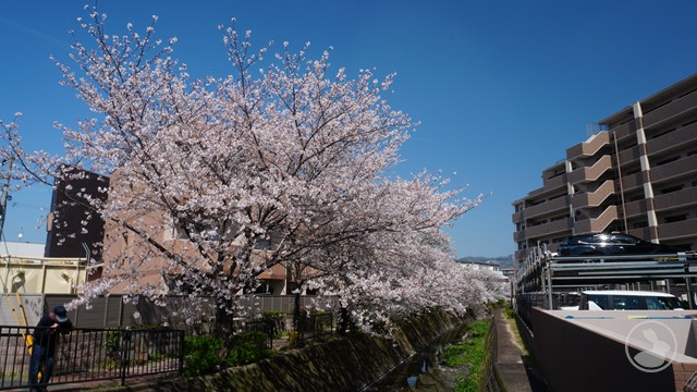 タイトルなし