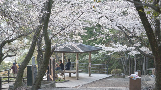 タイトルなし