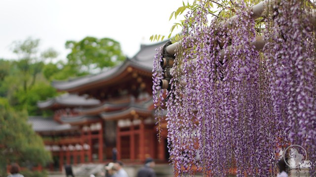 タイトルなし