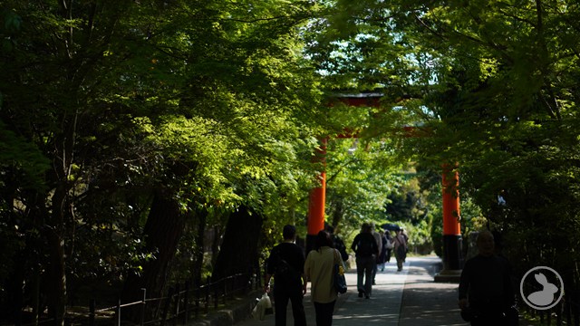 タイトルなし