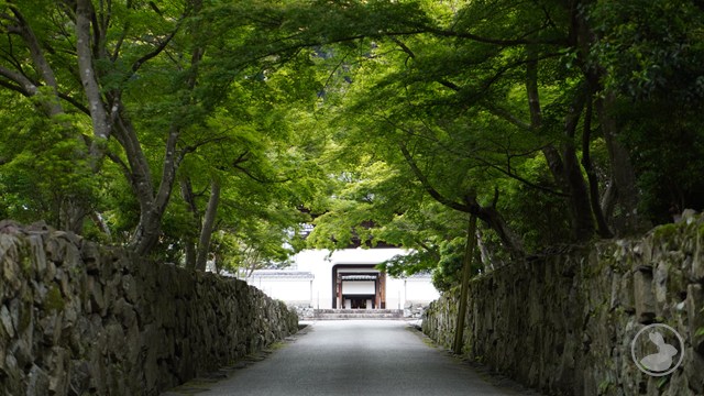 タイトルなし