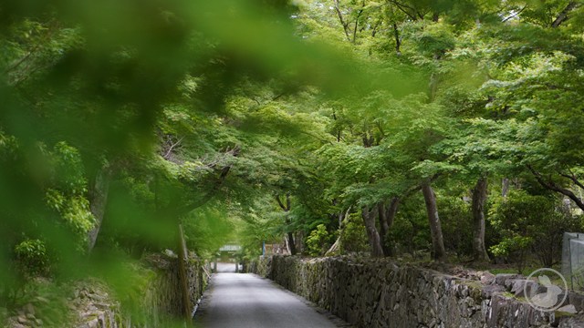 タイトルなし