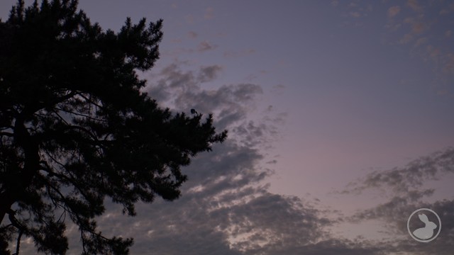 塔の川