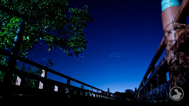 朝霧橋