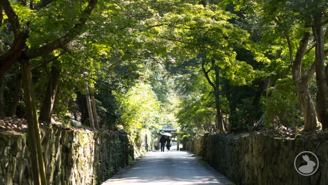 興聖寺