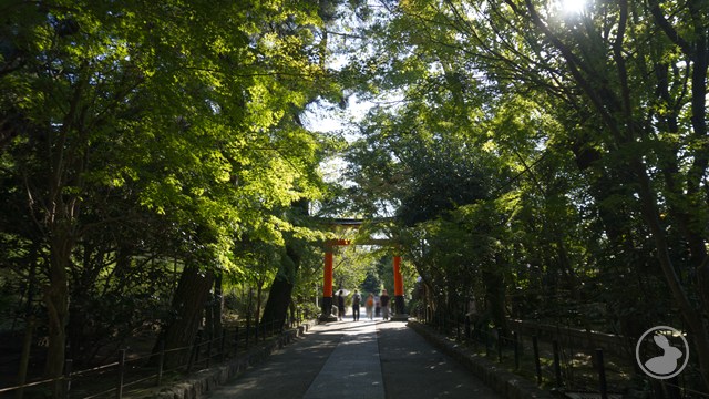 さわらびの道