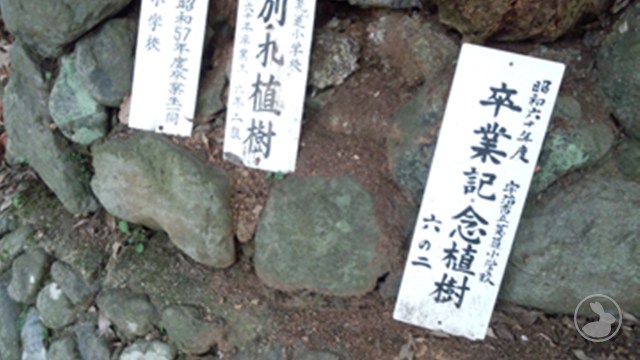 タイトルなし