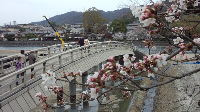 タイトルなし