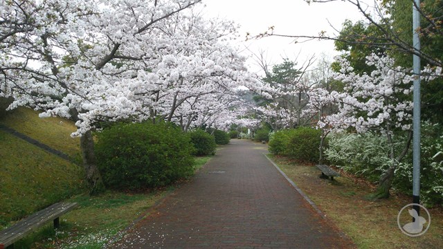 タイトルなし
