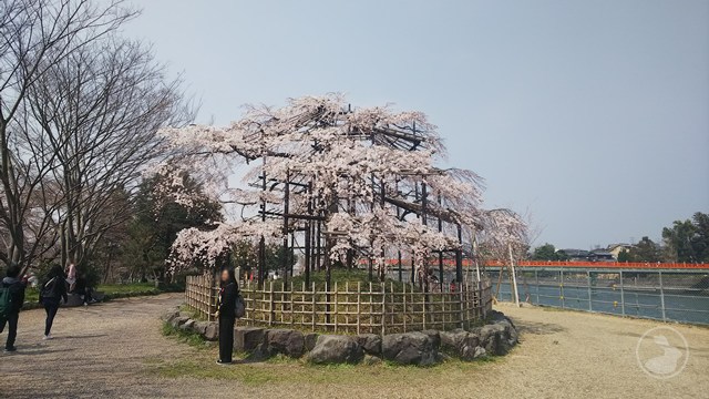 タイトルなし