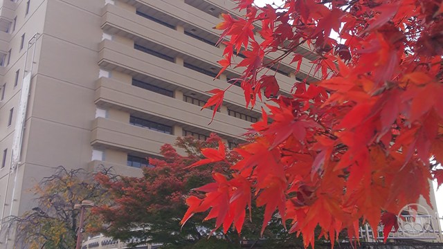 タイトルなし