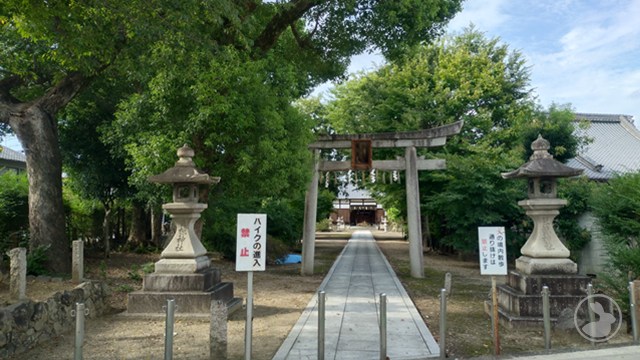 タイトルなし