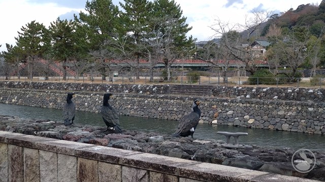 タイトルなし