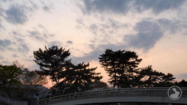 タイトルなし