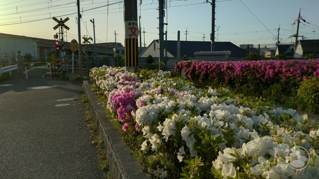 タイトルなし
