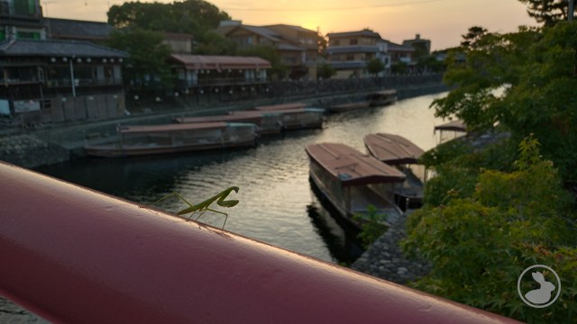 喜撰橋・下流の眺め