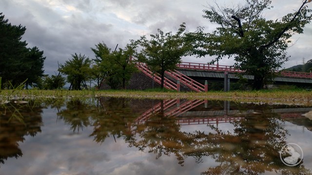 宇治公園中の島