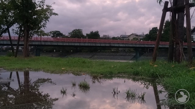 宇治公園中の島