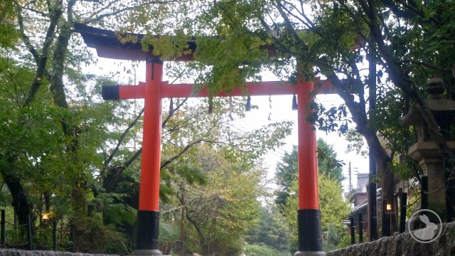 さわらびの道